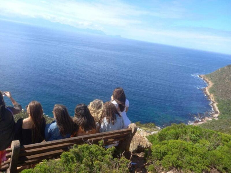 Cape Town: Private Full-Day Cape of Good Hope Tour - Does the Tour Offer Good Value?