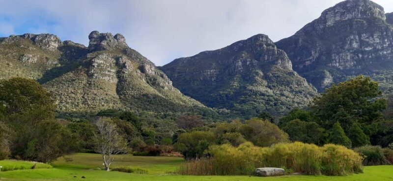 Cape Town: Private Full Day City & Winelands Tour - Final Thoughts