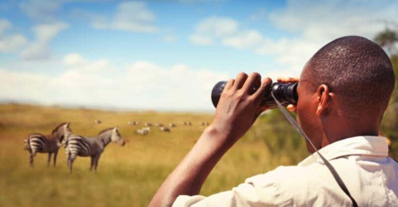 Cape Town: Private Game Reserve Safari incl. buffet Lunch! - Practical Details & What to Bring