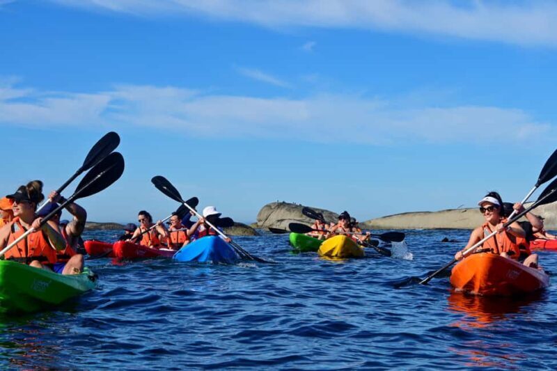 Cape Town: Private Guided Kayak Tour - Key Points