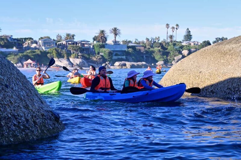 Cape Town: Private Guided Kayak Tour - Who Will Love This Experience?