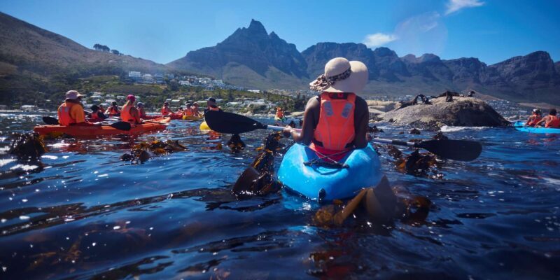 Cape Town: Private Guided Kayak Tour - Final Thoughts