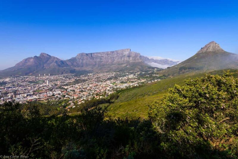 Cape Town: Private Half-Day City Highlights Tour with Local - Additional Options and Flexibility  