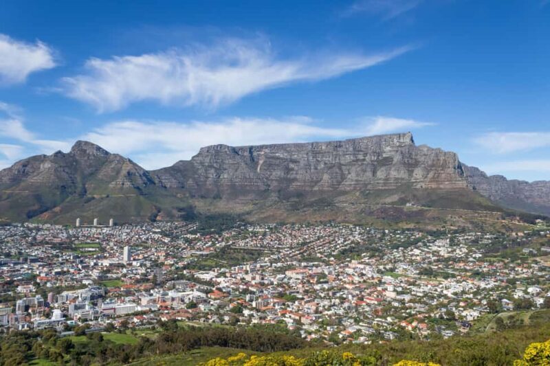 Cape Town: Private Half Day City Tour - Detailed Breakdown of the Cape Town Private Half Day City Tour