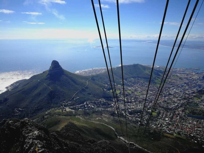 Cape Town: Private Half Day City Tour - Who Will Love This Tour?