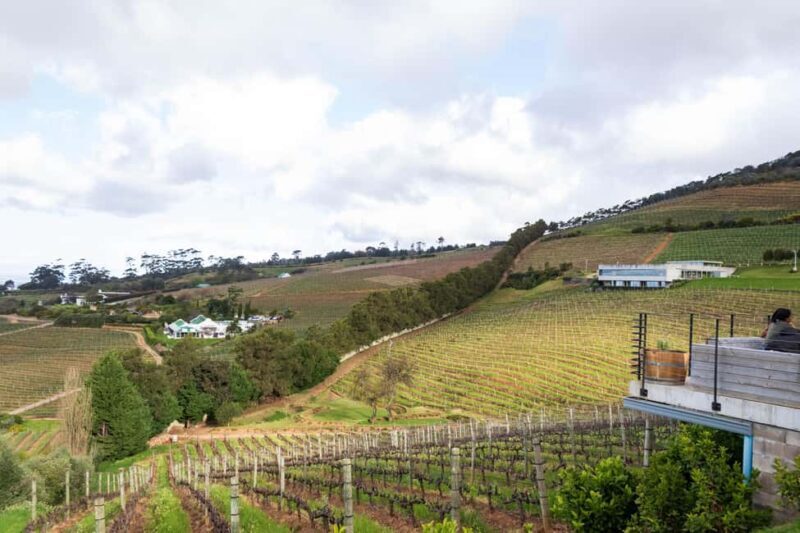 Cape Town: Private Half Day Winelands Tour - Key Points