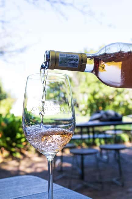 Cape Town: Private Half Day Winelands Tour - A Closer Look at the Winelands Tour Experience