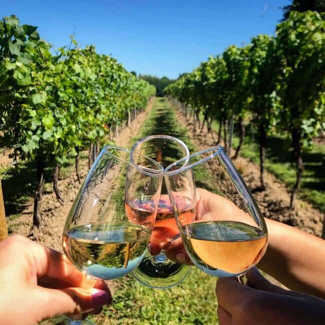 Cape Town: Private Quad Bike, Wine, and Diamond Tour - Frequently Asked Questions