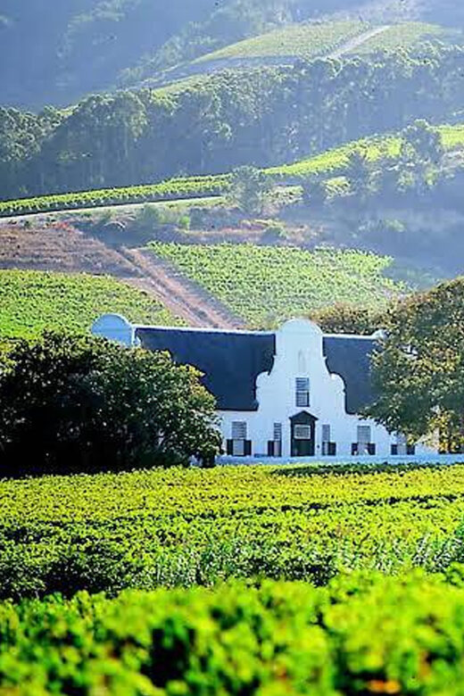 Cape Town: Private Stellenbosch and Franschhoek Wine Tour - An In-Depth Look at the Cape Winelands Private Tour