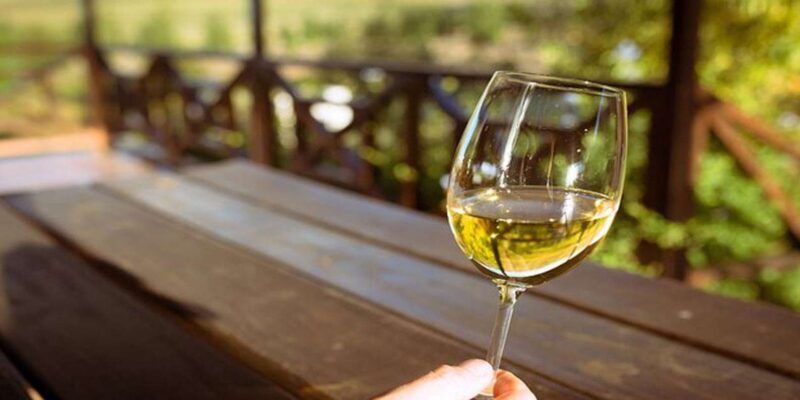 Cape Town: Private Stellenbosch and Franschhoek Wine Tour - Final Thoughts
