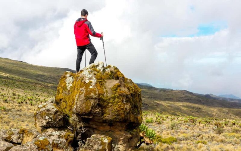 Cape Town: Private Table Mountain Guided Hike with Pickup - Key Points  