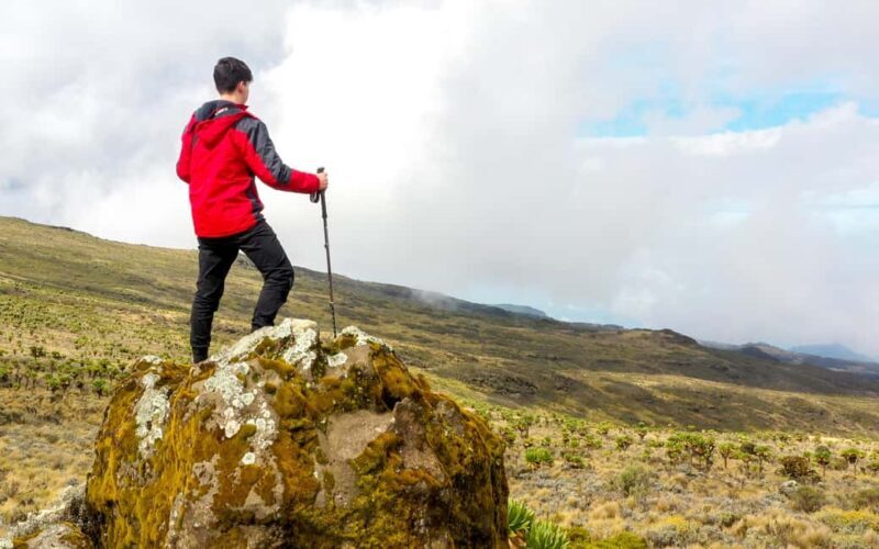 Cape Town: Private Table Mountain Guided Hike with Pickup - An In-Depth Look at the Experience  