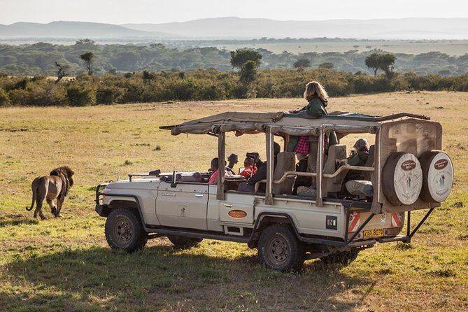 Cape town private - The Best of Big five safari - Welcome & First Encounters