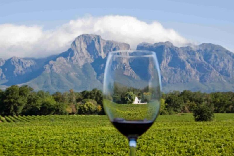 Cape Town: Private Tour of Cape Peninsula and Winelands - A Closer Look at the Itinerary and Highlights