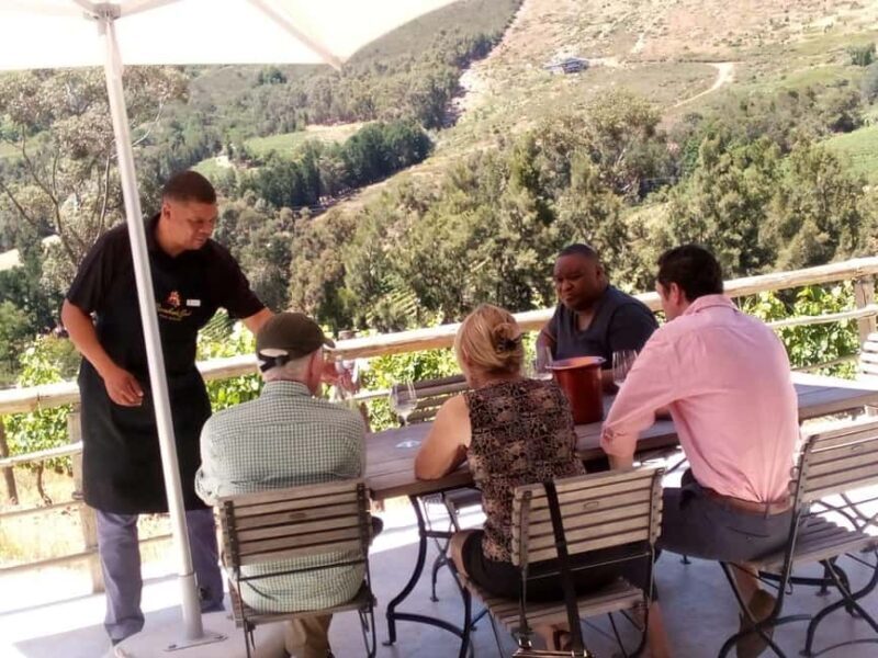 Cape Town: Private Wine Tour with a Sommelier - Who Should Consider This Tour?