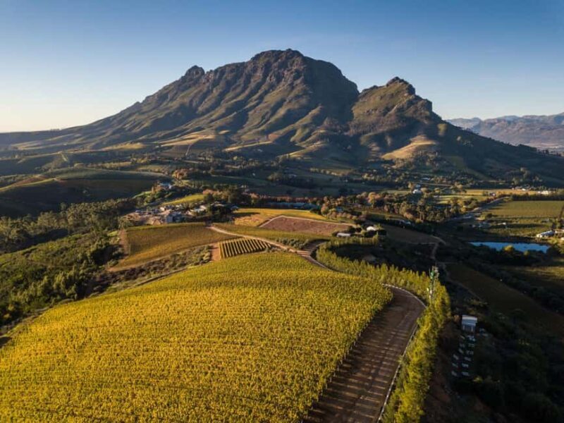 Cape Town: Private Wine Tour with Tastings and Lunch - The Experience in Detail: What to Expect from the Tour