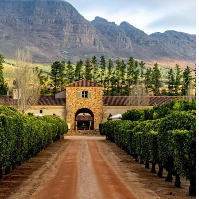Cape Town: Private Wine Tour with Tastings and Lunch - Value and Practical Considerations
