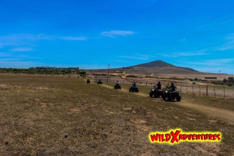 CAPE TOWN: QUAD BIKE FUN RIDE AT OSTRICH RANCH, DURBANVILLE - Key Points