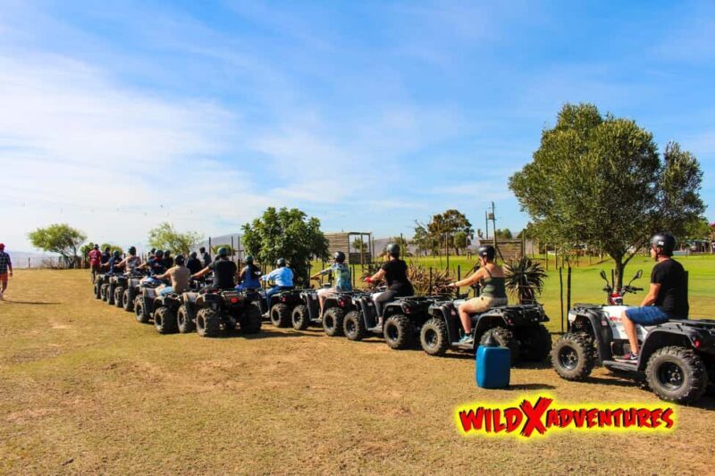 CAPE TOWN: QUAD BIKE FUN RIDE AT OSTRICH RANCH, DURBANVILLE - Pricing and Value for Money