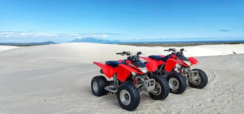 Cape Town: Quad Biking and Ostrich Farm Full-Day Tour - Key Points