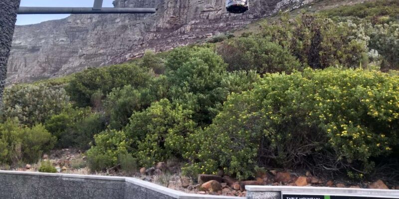 Cape Town: Robben Island and Table Mountain Private Day Tour - Practical Tips for Travelers