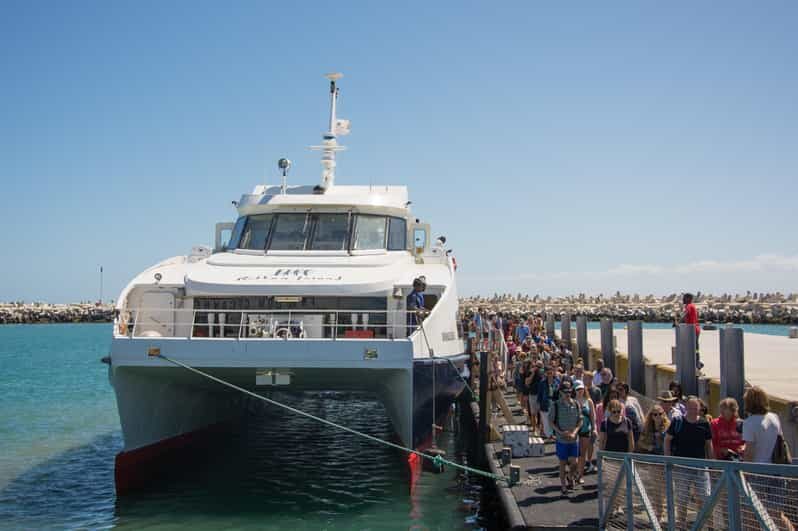 Cape Town: Robben Island Boat Trip & Museum Tour Ticket - Key Points