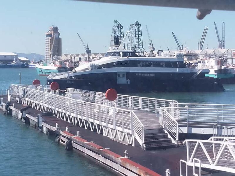 Cape Town: Robben Island Ferry and Guided Tour - Exploring the Robben Island Experience
