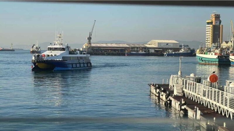 Cape Town: Robben Island Half-Day Tour with Entry Tickets - The Sum Up