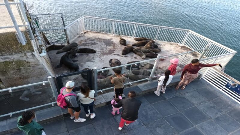 Cape Town Robben Island Plus Table Mountain plus All Tickets - Key Points