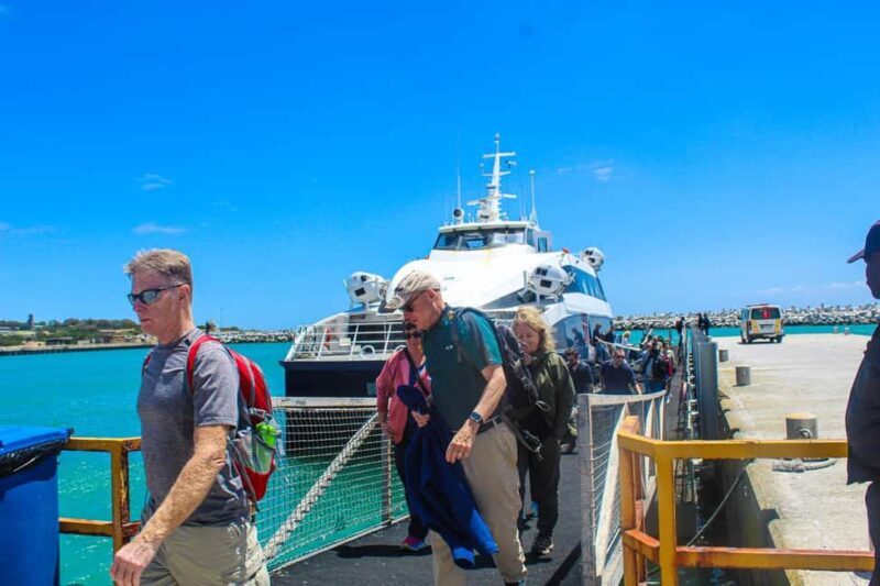 Cape Town: Robben Island plus Table Mountain Tickets - A Complete Look at the Robben Island & Table Mountain Tour