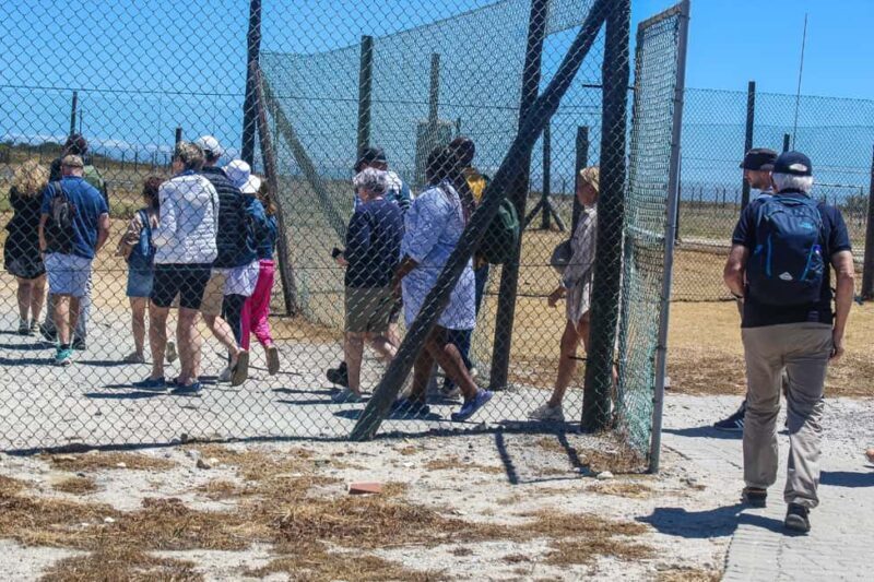 Cape Town: Robben Island plus Table Mountain Tickets - FAQ