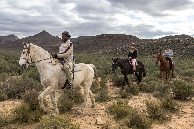 Cape Town Safari Big 5 experience all inclusive - Final Thoughts