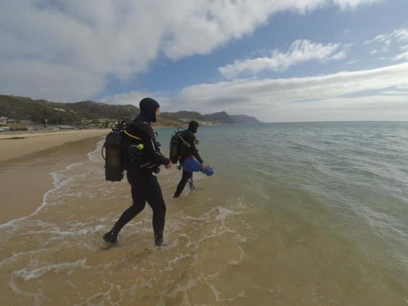 Cape Town: Scuba Diving Experience for Beginners - Cape Town: Scuba Diving Experience for Beginners