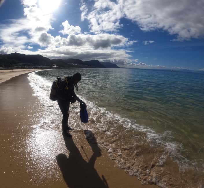 Cape Town: Scuba Diving Experience for Beginners - Key Points
