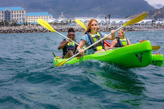 Cape Town Sea Kayaking Adventure launching from V&A Waterfront - An In-Depth Look at the Cape Town Sea Kayaking Adventure