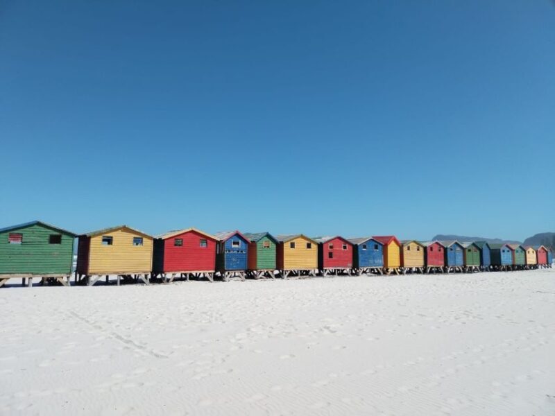 Cape Town: Seal Island, Cape of Good Hope& Penguins Private - The Itinerary: What You Can Expect from Start to Finish