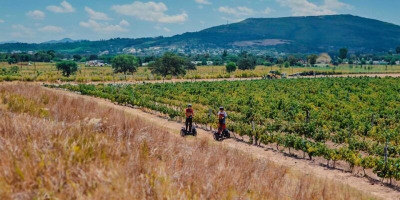 cape-town-segway-fun-ride-in-paarl-freedom-301-with-wildx