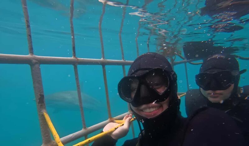 Cape Town: Shark Cage Diving Tour (with Breakfast & Lunch) - Authentic Insights from Reviewers 