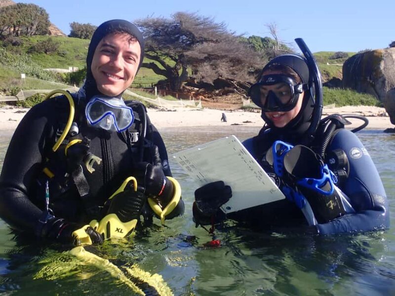 Cape Town: Shark Science SCUBA Diving Experience - Key Points