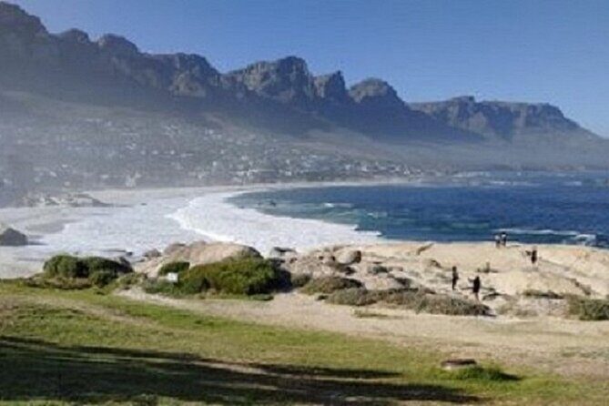 Cape Town Shore Excursion: Private Small Group Cape Peninsula - Who Would Love This Tour?