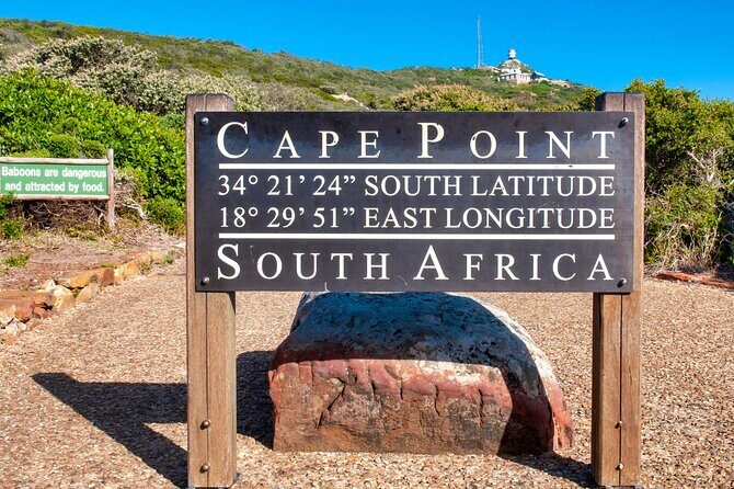 Cape Town Shore Tour: Table Mountain, Penguin & Cape Point - Who This Tour Is Best For