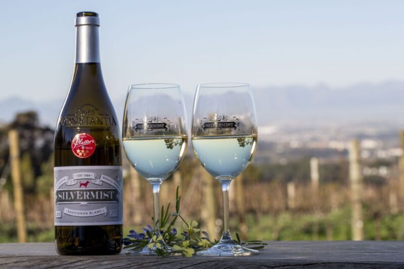 Cape Town: Silvermist Estate Wine Tasting & Drumstruck Show - A Detailed Look at the Tour Itinerary