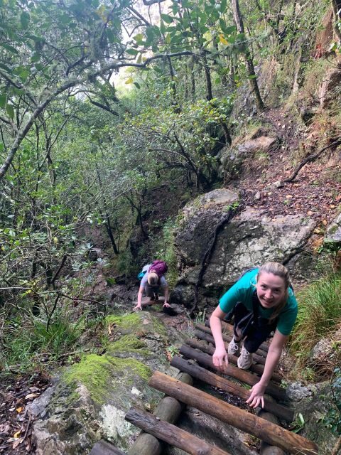 Cape Town: Skeleton Gorge and Kirstenbosch Gardens Hike - The Ladder Sections and Waterfalls