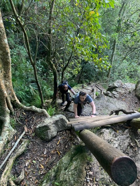 Cape Town: Skeleton Gorge and Kirstenbosch Gardens Hike - Reaching the Top: The Sandy Beaches