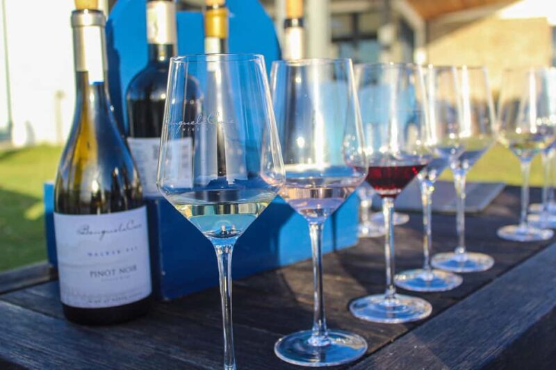 Cape Town: Stellenbosch and Franschhoek Wine Tasting Tour - A Closer Look at the Itinerary  