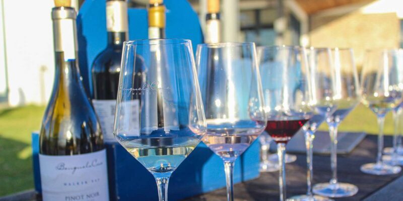 Cape Town: Stellenbosch and Franschhoek Wine Tasting Tour - FAQs  