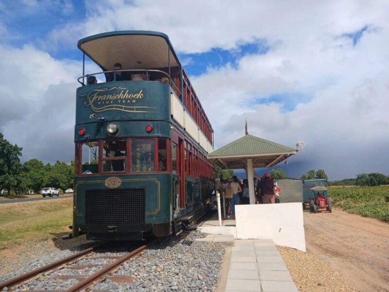 Cape Town: Stellenbosch, Franschhoek, Wine Tasting and Tram - Key Points