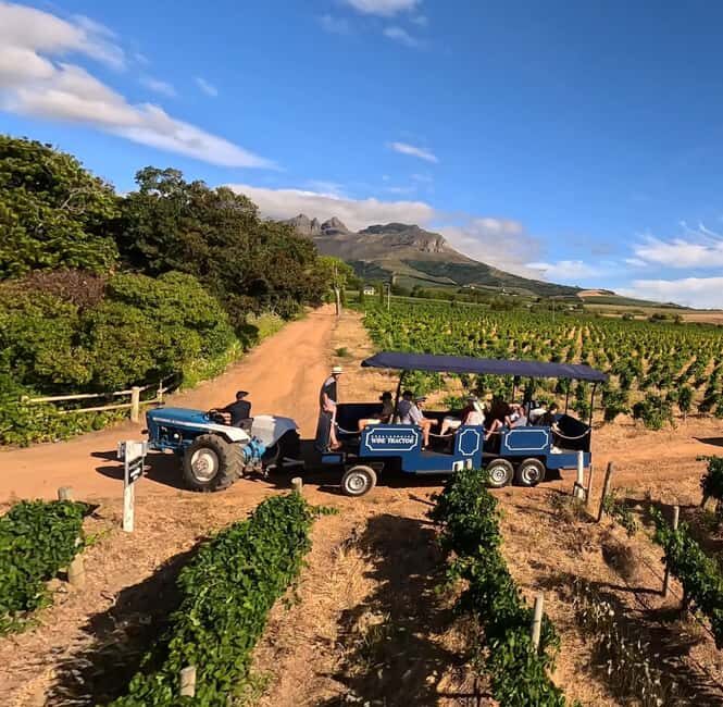 Cape Town: Stellenbosch Hop-On Hop-Off Tractor Wine Tour - Key Points