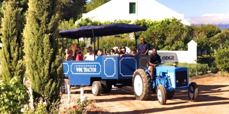 Cape Town: Stellenbosch Hop-On Hop-Off Tractor Wine Tour - An Introduction to the Tour