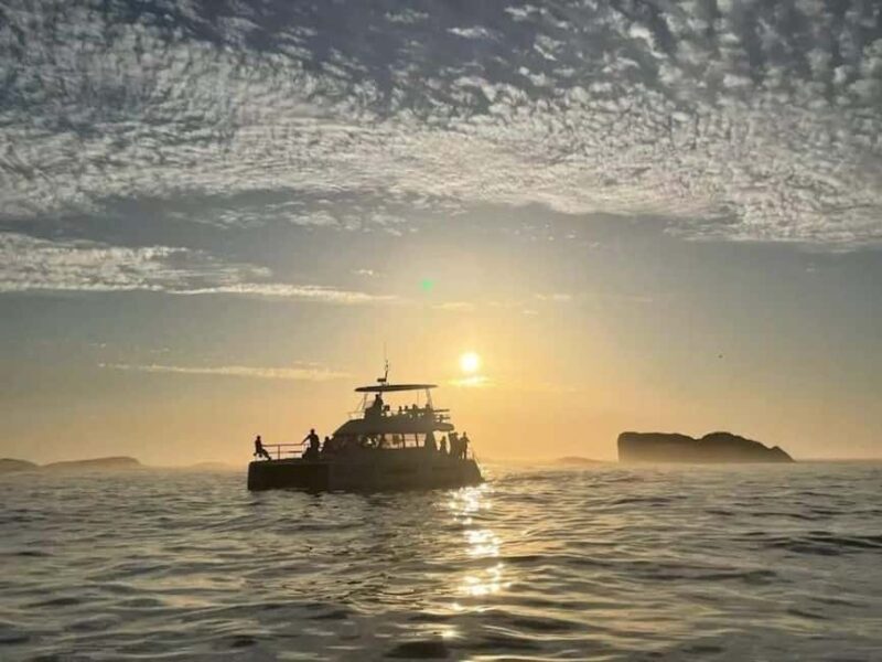 Cape Town: Sunset Champagne Cruise - What to Expect on the Cape Town Sunset Champagne Cruise